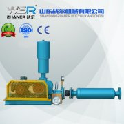 WSR-65污水行業(yè)用羅茨鼓風(fēng)機